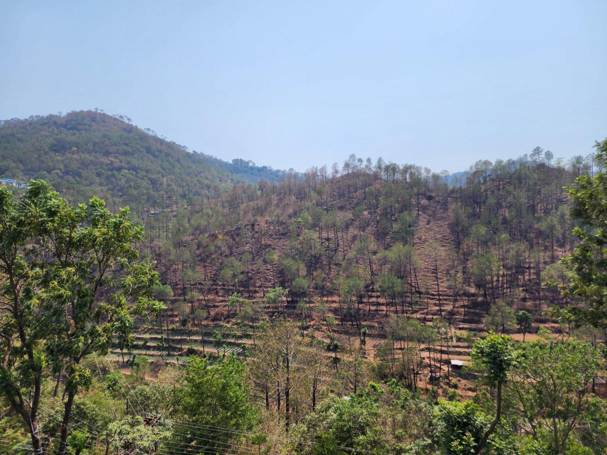 Hotel Royal Ark - Kasauli Bagian luar foto